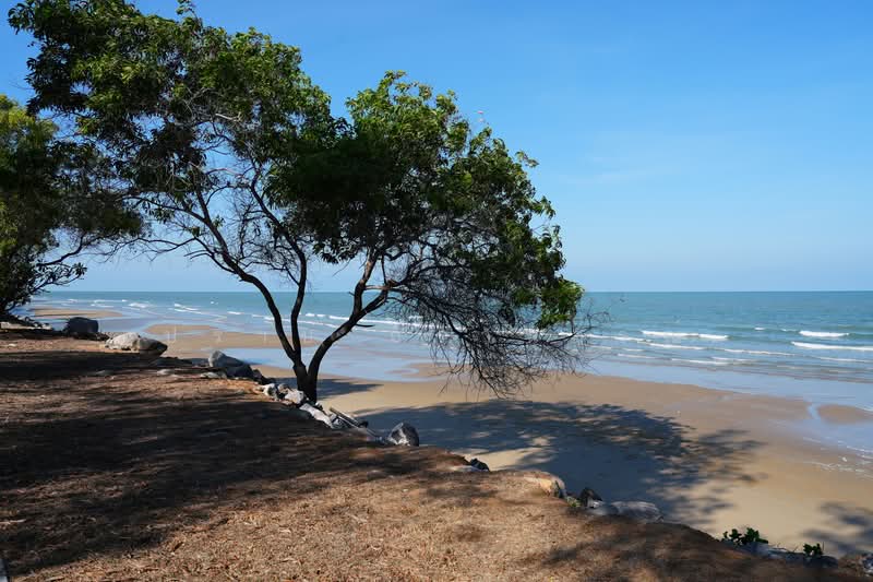 ปราณบุรี, ประจวบคีรีขันธ์, ปากน้ำปราณ, ปราณบุรี, ประจวบคีรีขันธ์, 10,224 ตร.ม., ที่ดิน ขาย, โดย ปราบ ถิรานุสรณ์, 500241469 - DDproperty.com