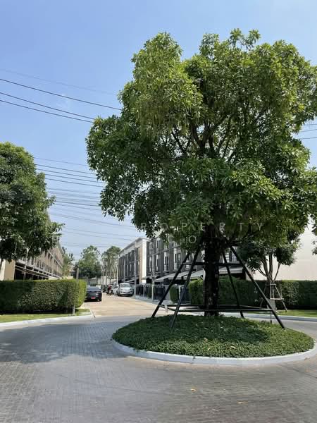 Baan Klang Muang Ramintra, Bangkok, Soi Kanchanaphisek 6/1, Tha Rang, Bang Khen, Bangkok, 3 Bedrooms, 145 sqm, Townhouse For Rent, by NTG Property House Co.,Ltd., 500241510 - DDproperty.com