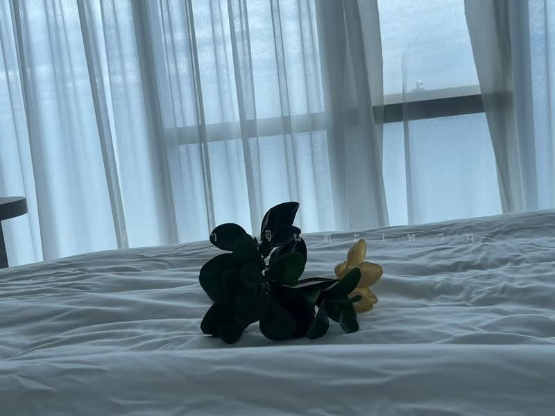 The Palm Wongamat Beach : เดอะ ปาล์ม วงศ์อมาตย์, ชลบุรี, ถนน ซอย นาเกลือ 16, นาเกลือ, บางละมุง, ชลบุรี, 160 ตร.ม., คอนโด ขาย, โดย อาทิตยา จินตะเหวก, 500241513 - DDproperty.com