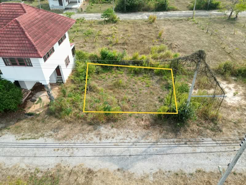 ชะอำ โกลเด้นท์ บีช, เพชรบุรี, บางเก่า, ชะอำ, เพชรบุรี, 132 ตร.ม., ที่ดิน ขาย, โดย ฐิติศักดิ์ เจน, 500241581 - DDproperty.com