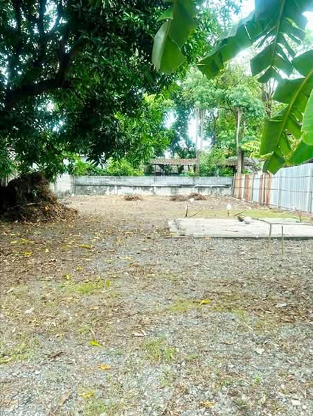 ไม่พบโครงการ, กรุงเทพ, เพชรเกษม จรัญสนิทวงศ์ กาญจนาภิเษก, คลองขวาง, ภาษีเจริญ, กรุงเทพ, 400 ตร.ม., ที่ดิน ให้เช่า, โดย ณัฐพงศ์ สุนทรอรุณ, 500241616 - DDproperty.com