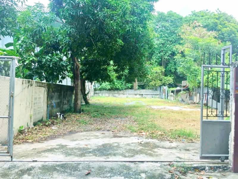 ไม่พบโครงการ, กรุงเทพ, เพชรเกษม จรัญสนิทวงศ์ กาญจนาภิเษก, คลองขวาง, ภาษีเจริญ, กรุงเทพ, 400 ตร.ม., ที่ดิน ให้เช่า, โดย ณัฐพงศ์ สุนทรอรุณ, 500241616 - DDproperty.com