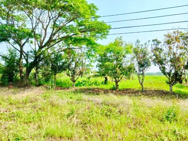 ไม่พบโครงการ, Pathum Thani, ตลาดแม่มาลัย 1 กม., Bang Phun, Muang Pathum Thani, Pathum Thani, 4 Bedrooms, 300 sqm, Single Detached House For Rent, by ณัฐพงศ์ สุนทรอรุณ, 500241625 - DDproperty.com