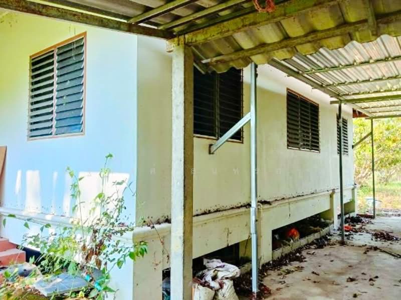 ไม่พบโครงการ, Pathum Thani, ตลาดแม่มาลัย 1 กม., Bang Phun, Muang Pathum Thani, Pathum Thani, 4 Bedrooms, 300 sqm, Single Detached House For Rent, by ณัฐพงศ์ สุนทรอรุณ, 500241625 - DDproperty.com