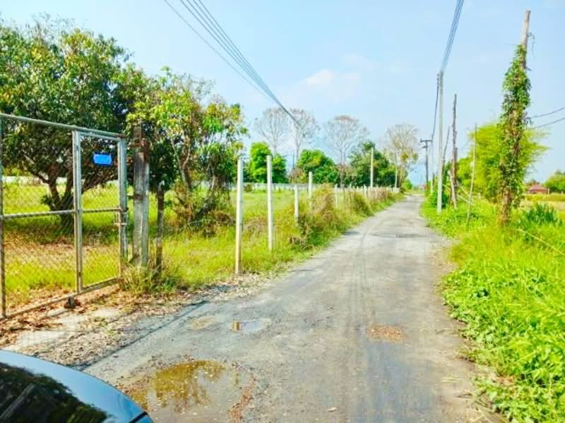 ให้เช่า - ไม่พบโครงการ, ปทุมธานี