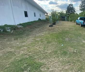 ขาย - ขายที่ดินหนองขาม 104 ตรว. หนองค้อซอย7 ถมแล้วใกล้สวนเสือศรีราชา-2กม. อ.ศรีราชา, ชลบุรี