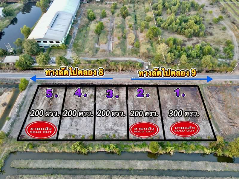 ขายที่ดินบึงชำอ้อ 200 ตรว. คลอง9 ติดถนนลาดยาง อ.หนองเสือ, ปทุมธานี, บึงชำอ้อ, หนองเสือ, ปทุมธานี, 800 ตร.ม., ที่ดิน ขาย, โดย richwellinter, 500241711 - DDproperty.com