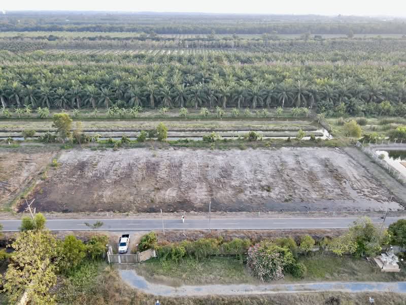 ขายที่ดินบึงชำอ้อ 200 ตรว. คลอง9 ติดถนนลาดยาง อ.หนองเสือ, ปทุมธานี, บึงชำอ้อ, หนองเสือ, ปทุมธานี, 800 ตร.ม., ที่ดิน ขาย, โดย richwellinter, 500241711 - DDproperty.com