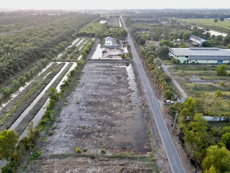 ขายที่ดินบึงชำอ้อ 200 ตรว. คลอง9 ติดถนนลาดยาง อ.หนองเสือ, ปทุมธานี, บึงชำอ้อ, หนองเสือ, ปทุมธานี, 800 ตร.ม., ที่ดิน ขาย, โดย richwellinter, 500241711 - DDproperty.com