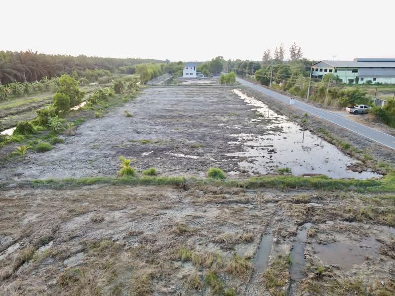 Land for sale in Bueng Cham O, 200 square wah, Khlong 9, Nong Suea District, adjacent to paved road., Pathum Thani, Bung Cham O, Nong Sua, Pathum Thani, , 800 sqm, Land For Sale, by richwellinter, 500241711 - DDproperty.com