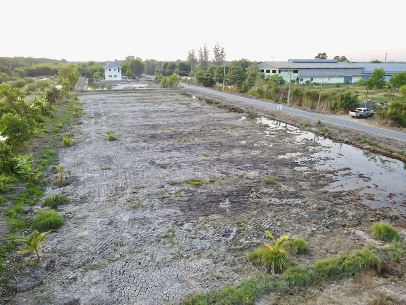 Land for sale in Bueng Cham O, 200 square wah, Khlong 9, Nong Suea District, adjacent to paved road., Pathum Thani, Bung Cham O, Nong Sua, Pathum Thani, , 800 sqm, Land For Sale, by richwellinter, 500241711 - DDproperty.com