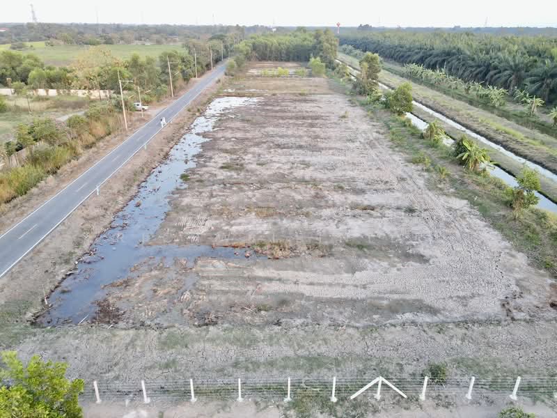 Land for sale in Bueng Cham O, 200 square wah, Khlong 9, Nong Suea District, adjacent to paved road., Pathum Thani, Bung Cham O, Nong Sua, Pathum Thani, , 800 sqm, Land For Sale, by richwellinter, 500241711 - DDproperty.com