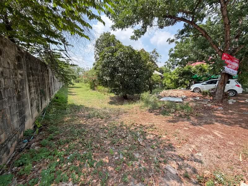 ที่ดินกระทุ่มแบน สมุทรสาคร, Samut Sakhon, Suan Luang, Krathum Baen, Samut Sakhon, , 9,860 sqm, Land For Sale, by The Best Property อั๋น, 500241784 - DDproperty.com