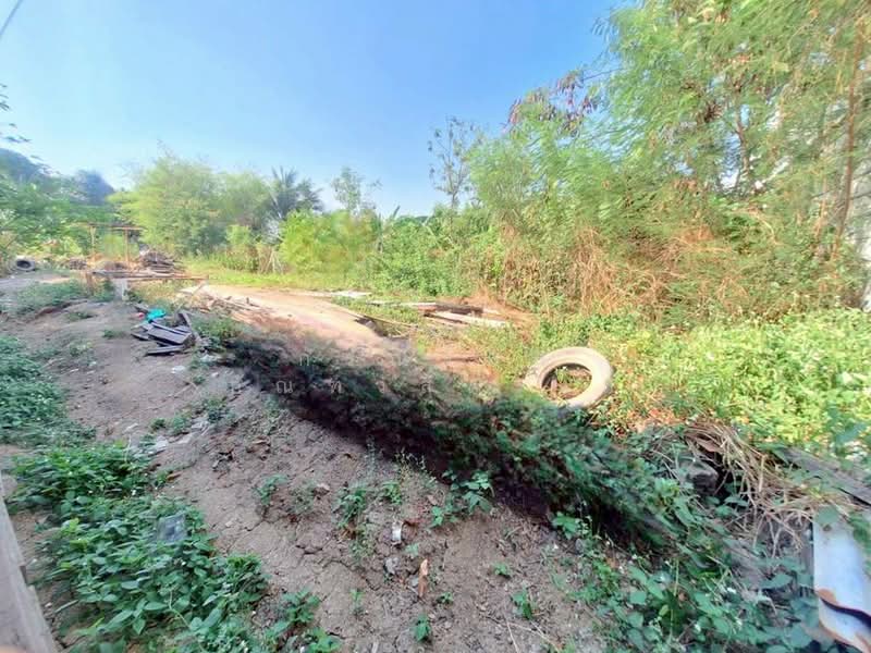 ขาย ที่ดินเปล่า 109 ตร.วา ไทรน้อย, นนทบุรี, ไทรน้อย, ไทรน้อย, นนทบุรี, 436 ตร.ม., ที่ดิน ขาย, โดย กรณวัสส์ กัณฑวัสส์วงส์, 500241839 - DDproperty.com