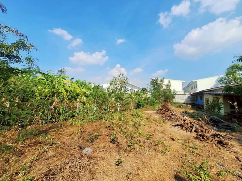 ขาย ที่ดินเปล่า 109 ตร.วา ไทรน้อย, Nonthaburi, Sai Noi, Sai Noi, Nonthaburi, , 436 sqm, Land For Sale, by กรณวัสส์ กัณฑวัสส์วงส์, 500241839 - DDproperty.com