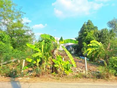 ขาย - ขาย ที่ดินเปล่า 109 ตร.วา ไทรน้อย, นนทบุรี