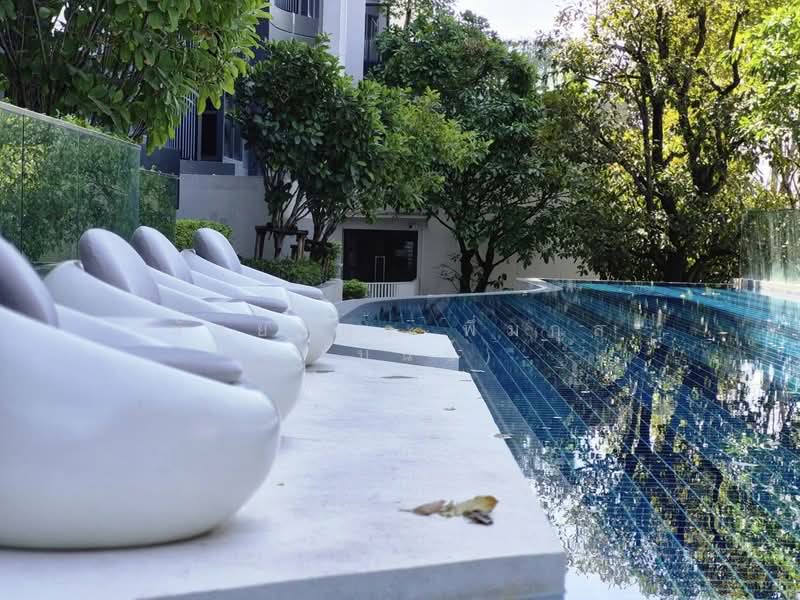 Blue Sukhumvit 105, Bangkok, 8 Lasalle Rd, Bang Na, Bang Na, Bangkok, 1 Bedroom, 25 sqm, Condo For Rent, by Nattayaporn Peumkul (Benz), 500241959 - DDproperty.com