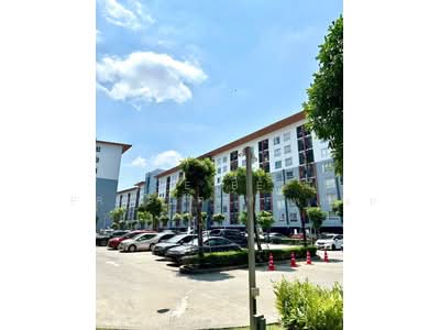 ขาย - Plum Condo Bangyai Station : พลัม คอนโด บางใหญ่ สเตชั่น, นนทบุรี