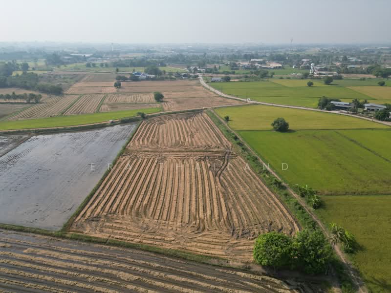 For Sale - ขายที่ดิน ซอย 8 6 ไร่ 1 งาน 15 ตร.ว. เซียนคาเฟ่ เหมาะพัฒนาโครงการบ้าน, Phitsanulok