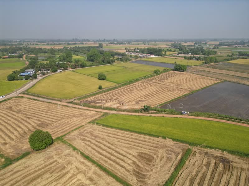 For Sale - ขายที่ดิน ซอย 8 6 ไร่ 1 งาน 15 ตร.ว. เซียนคาเฟ่ เหมาะพัฒนาโครงการบ้าน, Phitsanulok