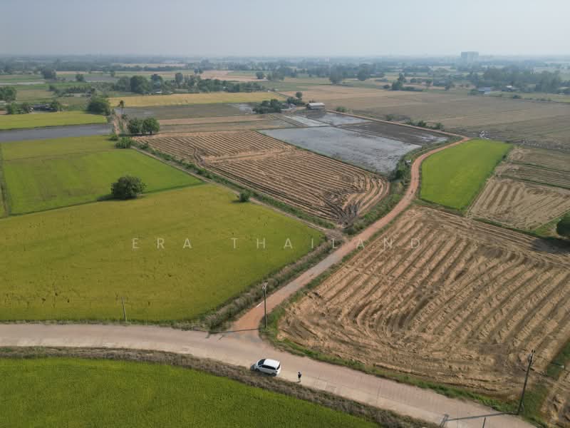 For Sale - ขายที่ดิน ซอย 8 6 ไร่ 1 งาน 15 ตร.ว. เซียนคาเฟ่ เหมาะพัฒนาโครงการบ้าน, Phitsanulok