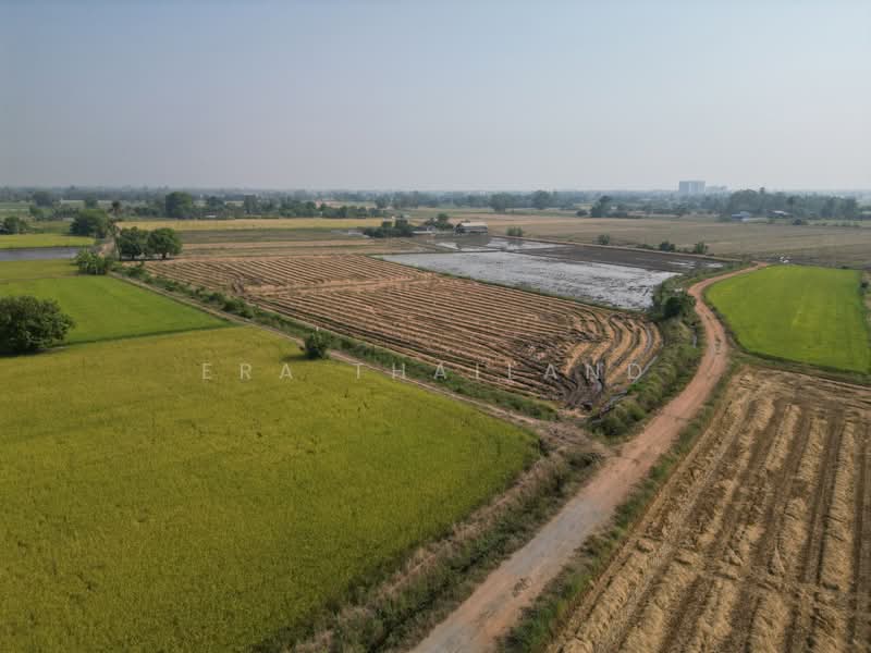 For Sale - ขายที่ดิน ซอย 8 6 ไร่ 1 งาน 15 ตร.ว. เซียนคาเฟ่ เหมาะพัฒนาโครงการบ้าน, Phitsanulok