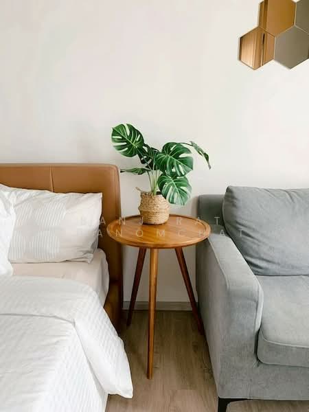 Rhythm Sukhumvit 36-38, Bangkok, 55 Soi Sukhumvit 36, Sukhumvit Road, Phra Kanong, Khlong Toei, Bangkok, 1 Bedroom, 25 sqm, Condo For Rent, by Banjarat Thanomchat, 500242103 - DDproperty.com