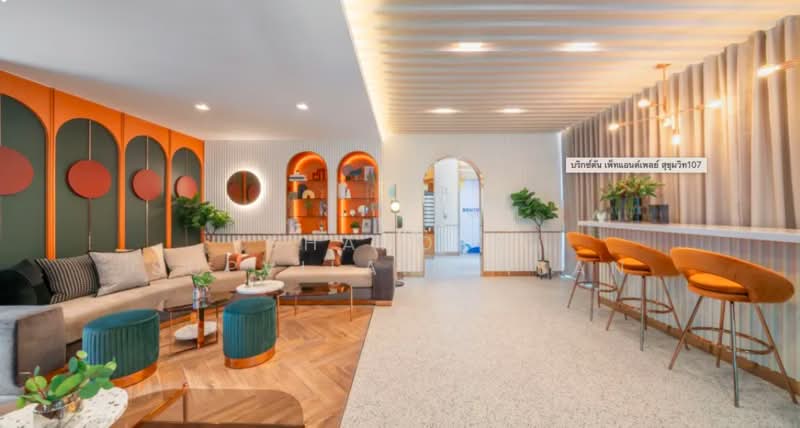 Brixton Pet & Play Sukhumvit 107, Samut Prakan, Sukhumvit 107, Samrong Nua, Muang Samut Prakarn, Samut Prakan, 1 Bedroom, 28 sqm, Condo For Rent, by Shaporn Supvilaiphisan, 500242114 - DDproperty.com