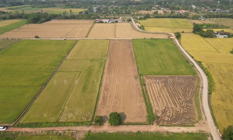 ขาย - ขายที่ดินใกล้ ม.นเรศวร ขนาด 1 ไร่ 1 งาน เหมาะสร้างบ้านหรือทำโครงการ, พิษณุโลก