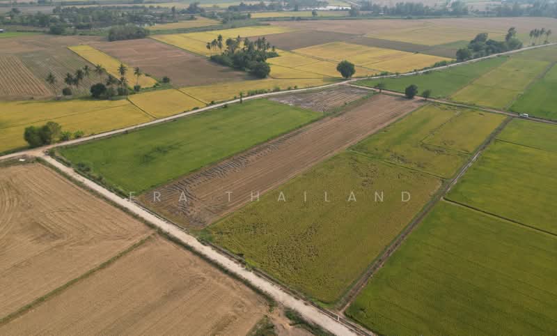 ขาย - ขายที่ดินใกล้ ม.นเรศวร ขนาด 1 ไร่ 1 งาน เหมาะสร้างบ้านหรือทำโครงการ, พิษณุโลก