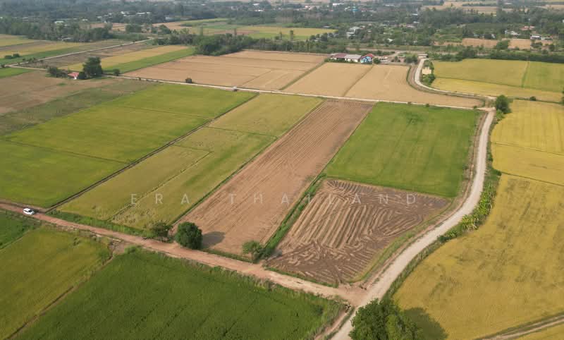 ขาย - ขายที่ดินใกล้ ม.นเรศวร ขนาด 1 ไร่ 1 งาน เหมาะสร้างบ้านหรือทำโครงการ, พิษณุโลก