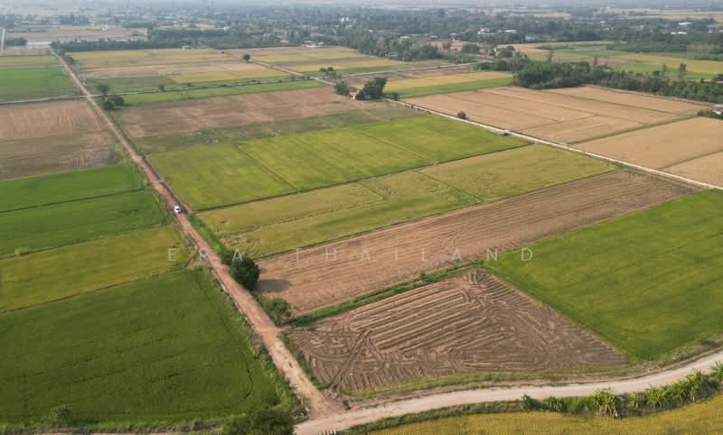 ขาย - ขายที่ดินใกล้ ม.นเรศวร ขนาด 1 ไร่ 1 งาน เหมาะสร้างบ้านหรือทำโครงการ, พิษณุโลก