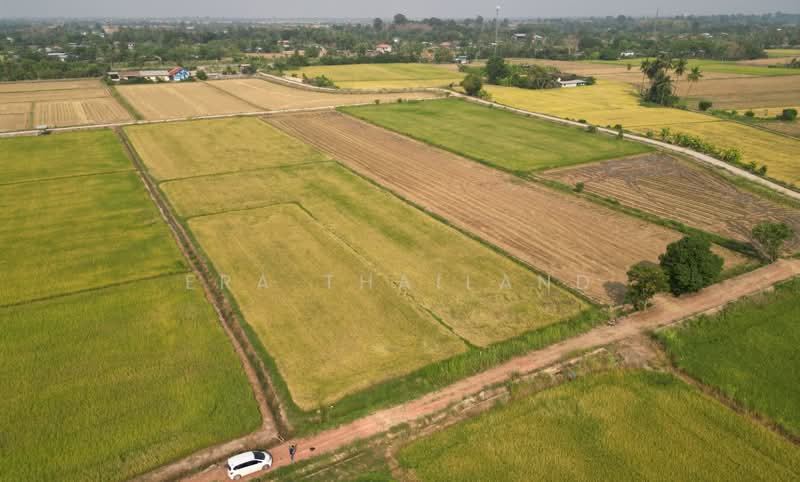 ขายที่ดินใกล้ ม.นเรศวร ขนาด 1 ไร่ 1 งาน เหมาะสร้างบ้านหรือทำโครงการ, Phitsanulok, Wat Phrik, Muang Phitsanulok, Phitsanulok, , 2,000 sqm, Land For Sale, by ERA Thailand, 500242185 - DDproperty.com