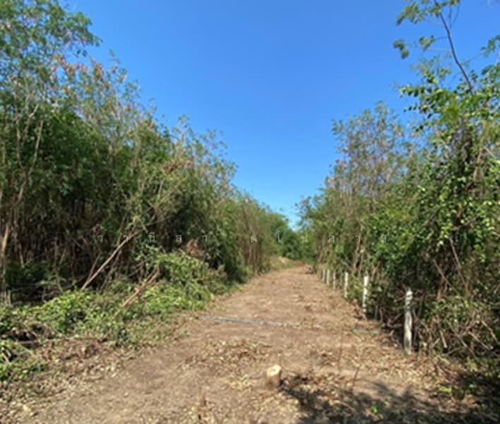 ที่ดินเปล่า ถนนเพชรเกษม ตำบลสนามจันทร์ อำเภอเมืองนครปฐม จังหวัดนครปฐม, Nakhon Pathom, เพชรเกษม, Sanam Chan, Muang Nakhon Pathom, Nakhon Pathom, , 4,292 sqm, Land For Sale, by วานิสา ตโนภาส, 500242229 - DDproperty.com