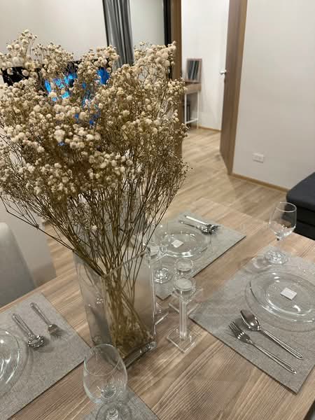 The Excel Hideaway Sukhumvit 71 : ดิ เอ็กเซล ไฮด์ อะเวย์ สุขุมวิท 71, กรุงเทพ, ซ.มีสุวรรณ 2, พระโขนงเหนือ, วัฒนา, กรุงเทพ, 60 ตร.ม., คอนโด ให้เช่า, โดย นัทยาพร พึ่มกุล (เบนซ์), 500242282 - DDproperty.com