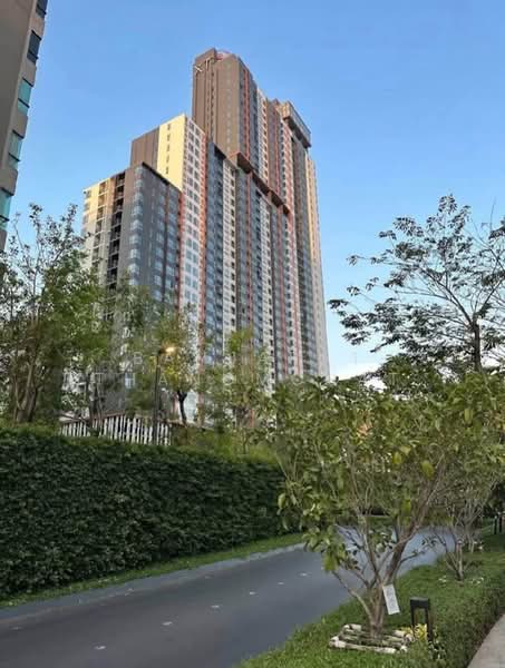 XT Huaikhwang, Bangkok, 244 Ratchadaphisek Road, Huai Khwang, Huai Khwang, Bangkok, 1 Bedroom, 31 sqm, Condo For Rent, by Banjarat Thanomchat, 500242296 - DDproperty.com