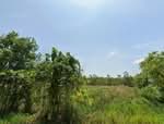 ที่ดินท่ายาง เพชรบุรี, เพชรบุรี