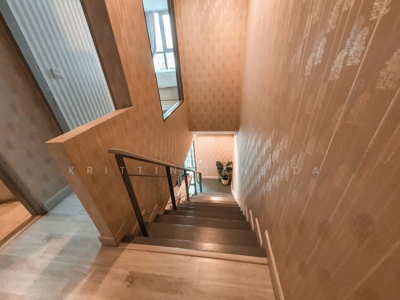 IDEO MOBI Sukhumvit 81 : ไอดีโอ โมบิ สุขุมวิท 81, กรุงเทพ, 2097 ถนนสุขุมวิท แขวงบางจาก เขตพระโขนง กรุงเทพมหานคร, บางจาก, พระโขนง, กรุงเทพ, 42 ตร.ม., คอนโด ให้เช่า, โดย Krittin Tansida, 500242446 - DDproperty.com