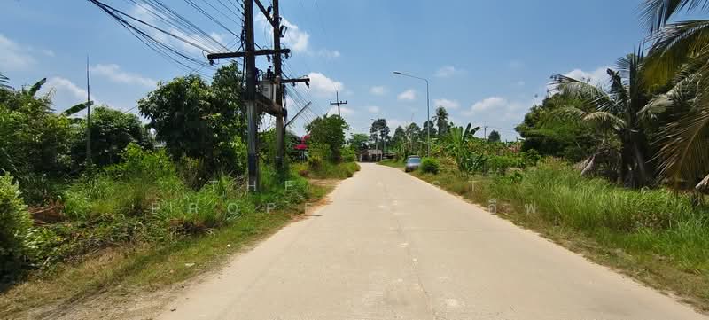 ที่ดินบ้านค่าย ระยอง, Rayong, Ta Khan, Ban Khai, Rayong, , 320 sqm, Land For Sale, by The Best Property อีฟ, 500242513 - DDproperty.com