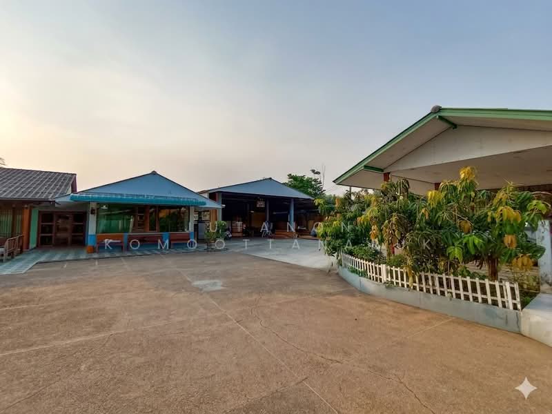 ขาย - ขายบ้านเดี่ยว พร้อมพื้นที่ทำธุรกิจ บรรยากาศร่มรื่น ใกล้แหล่งชุมชน ติดโรงเรียนประจำ ต.ดอนมูล จ.แพร่, แพร่