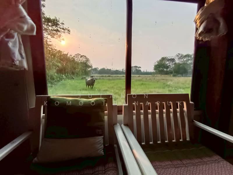 ขาย - ขายบ้านเดี่ยว พร้อมพื้นที่ทำธุรกิจ บรรยากาศร่มรื่น ใกล้แหล่งชุมชน ติดโรงเรียนประจำ ต.ดอนมูล จ.แพร่, แพร่