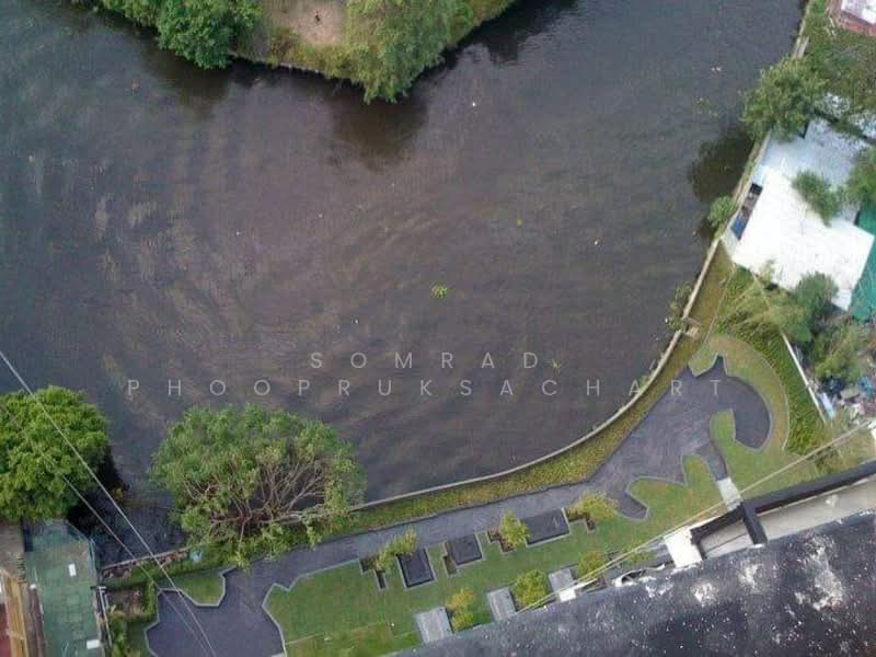 Blocs 77, Bangkok, 291 On Nut Rd, Phra Kanong Nua, Watthana, Bangkok, 1 Bedroom, 40 sqm, Condo For Sale, by Somrad Phoopruksachart, 500242698 - DDproperty.com