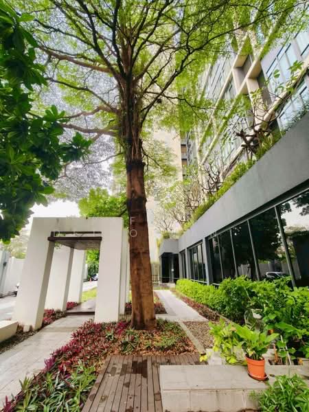 IDEO Blucove Sukhumvit, Bangkok, 2952 Sukhumvit Road, Bang Na, Bang Na, Bangkok, 1 Bedroom, 33 sqm, Condo For Rent, by Pafhun Detnopmani , 500242755 - DDproperty.com