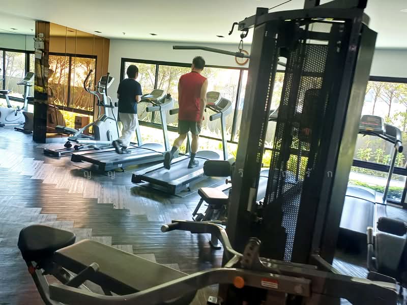 Thana Astoria Pinklao, Bangkok, Soi Charansanitwong 46 Yak 2, Bang Yi Khan, Bang Phlat, Bangkok, 1 Bedroom, 29 sqm, Condo For Rent, by อัญญาภรณ์ วิษณุรัก, 500242836 - DDproperty.com