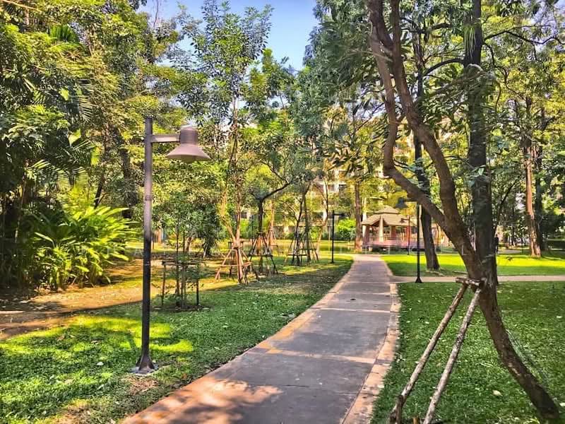 The Parkland Bangna : เดอะ พาร์คแลนด์ บางนา, กรุงเทพ, ซอยบางนา-ตราด 37, บางนา, บางนา, กรุงเทพ, 38 ตร.ม., คอนโด ให้เช่า, โดย Kanyaphat Phattararittikul, 500243006 - DDproperty.com