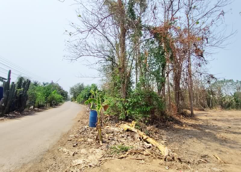 ที่ดินบ้านเกาะ อุตรดิตถ์, Uttaradit, Ban Ko, Muang Uttaradit, Uttaradit, , 2,444 sqm, Land For Sale, by The Best Property น้อยหน่า, 500243191 - DDproperty.com