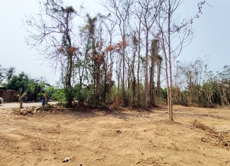 ที่ดินบ้านเกาะ อุตรดิตถ์, Uttaradit, Ban Ko, Muang Uttaradit, Uttaradit, , 2,444 sqm, Land For Sale, by The Best Property น้อยหน่า, 500243191 - DDproperty.com