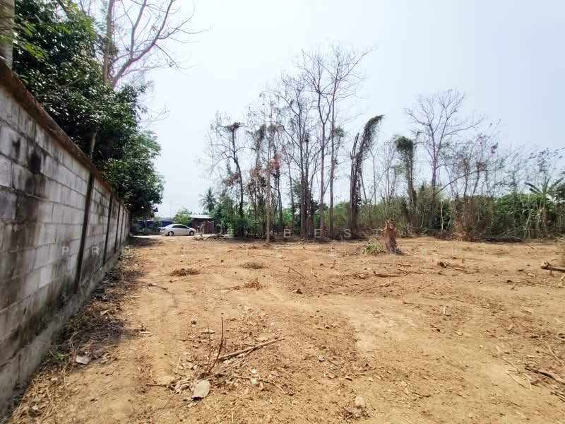 ที่ดินบ้านเกาะ อุตรดิตถ์, อุตรดิตถ์, บ้านเกาะ, เมืองอุตรดิตถ์, อุตรดิตถ์, 2,444 ตร.ม., ที่ดิน ขาย, โดย The Best Property น้อยหน่า, 500243191 - DDproperty.com