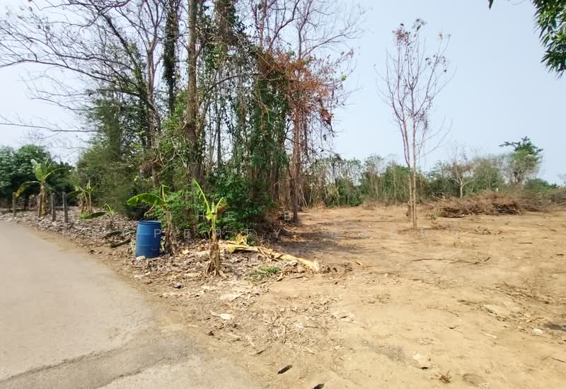 ที่ดินบ้านเกาะ อุตรดิตถ์, อุตรดิตถ์, บ้านเกาะ, เมืองอุตรดิตถ์, อุตรดิตถ์, 2,444 ตร.ม., ที่ดิน ขาย, โดย The Best Property น้อยหน่า, 500243191 - DDproperty.com