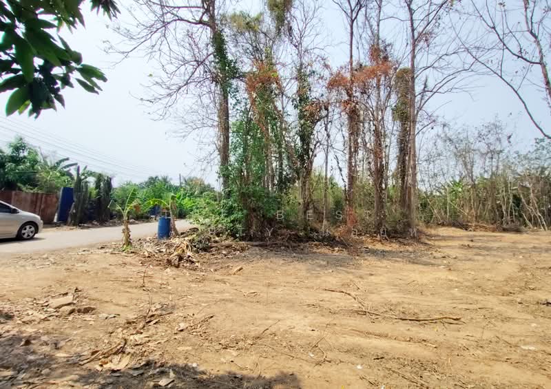 ที่ดินบ้านเกาะ อุตรดิตถ์, Uttaradit, Ban Ko, Muang Uttaradit, Uttaradit, , 2,444 sqm, Land For Sale, by The Best Property น้อยหน่า, 500243191 - DDproperty.com